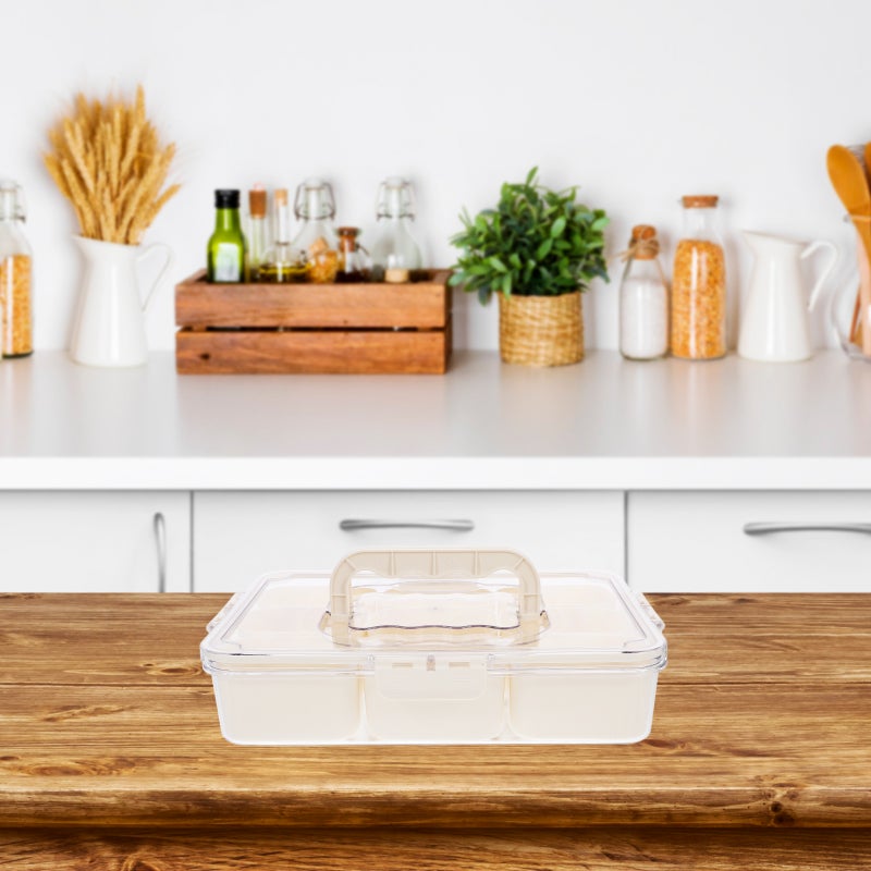 Seasoning Box Keeper 9-slot Fridge Organizer Portable Containers Reusable Fridge Tray - Image 5