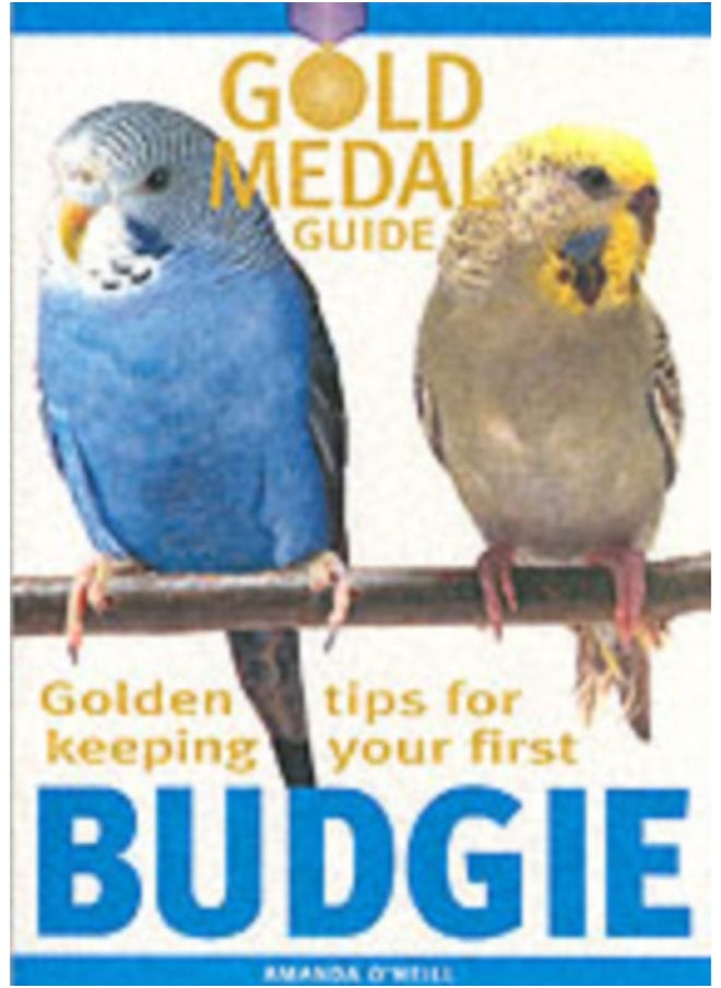 Budgie - pzsku/ZD52DEEF41AFBBE4E127CZ/45/_/1694262532/4c1eacb5-69f6-41d3-8ccc-236c5cf07fc6