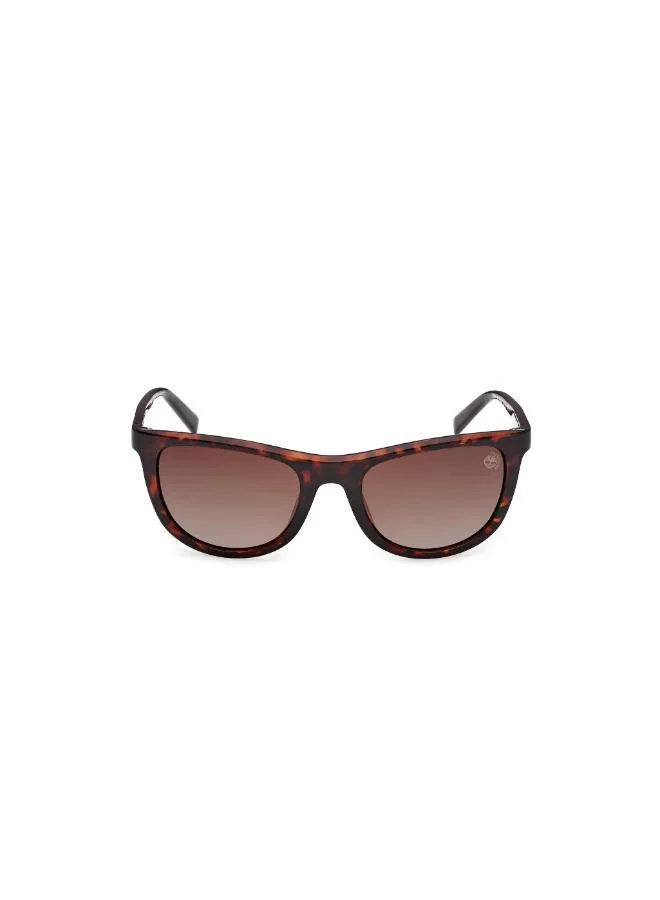 تمبرلاند wayfarers sunglasses