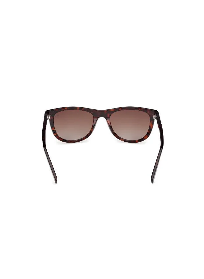 تمبرلاند wayfarers sunglasses