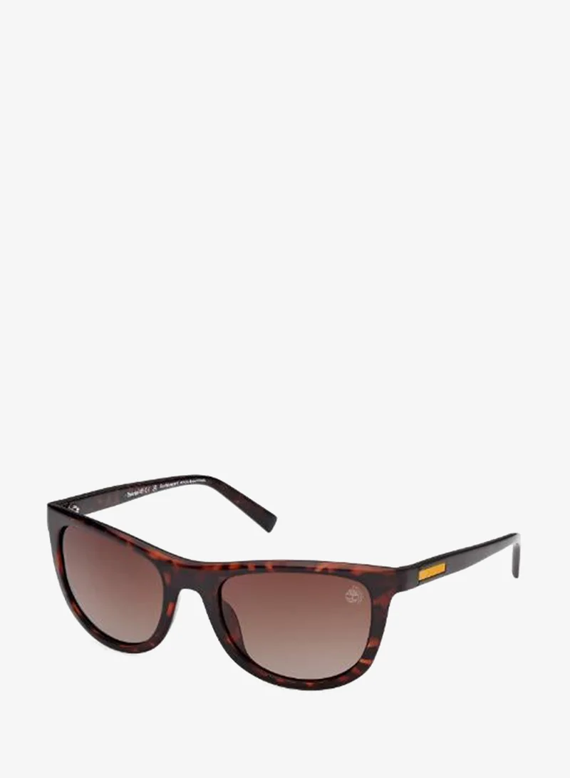 Timberland  wayfarers sunglasses for Men | Best Price UAE