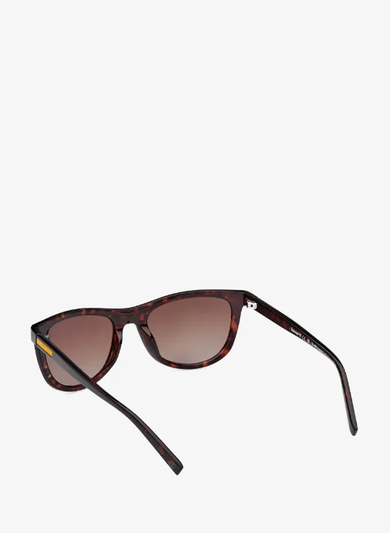 Timberland  wayfarers sunglasses for Men | Best Price UAE