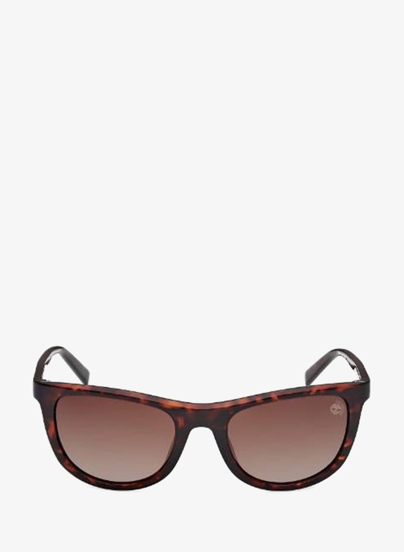 Timberland wayfarers sunglasses - Image 1