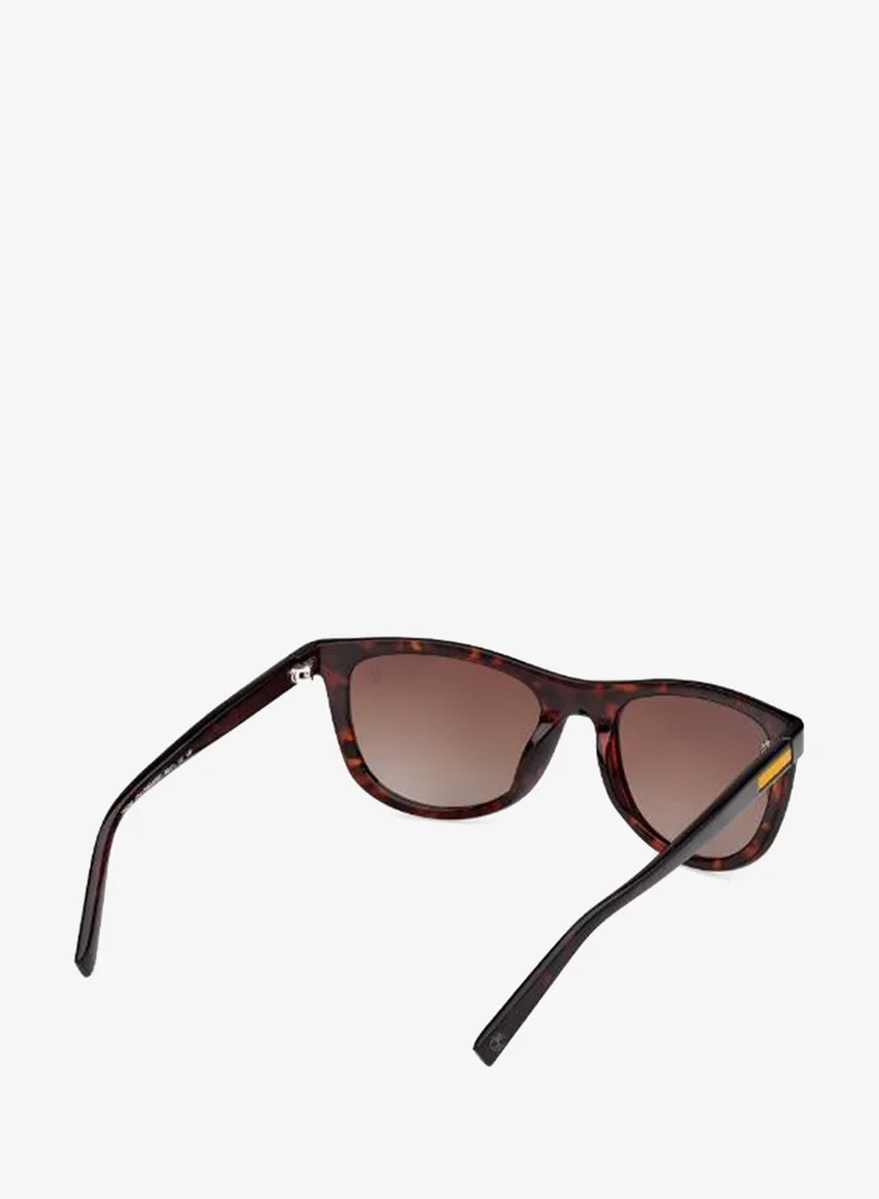 Timberland  wayfarers sunglasses for Men | Best Price UAE
