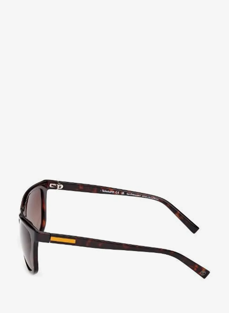 Timberland  wayfarers sunglasses for Men | Best Price UAE