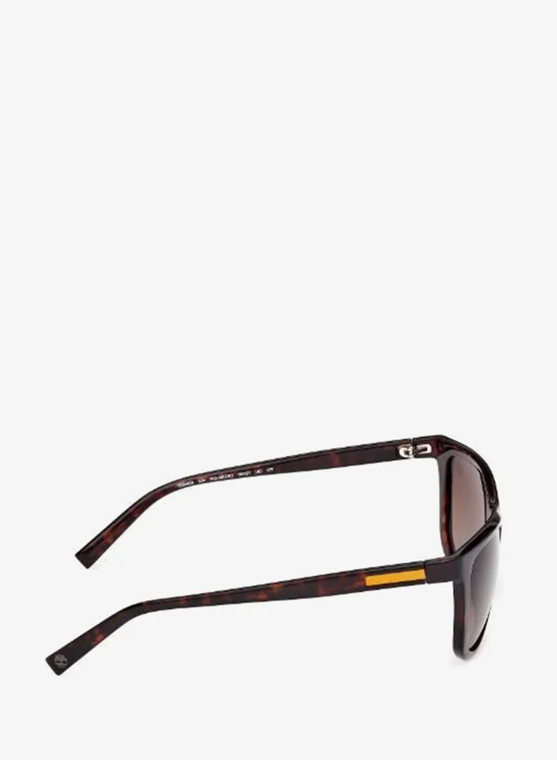 Timberland  wayfarers sunglasses for Men | Best Price UAE