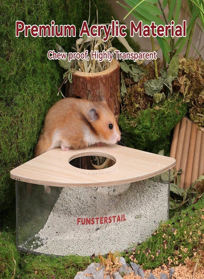 FunstersTail Hamster Sand Bath Container for Small Pets (Fan-Shaped) - Image 4