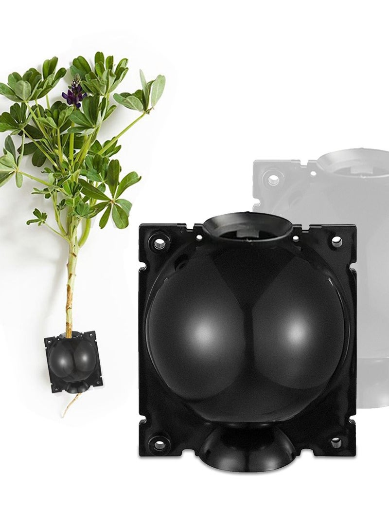 عام صندوق تطعيم كروي لتجذير النباتات 6 سم 10 قطع - Image 1