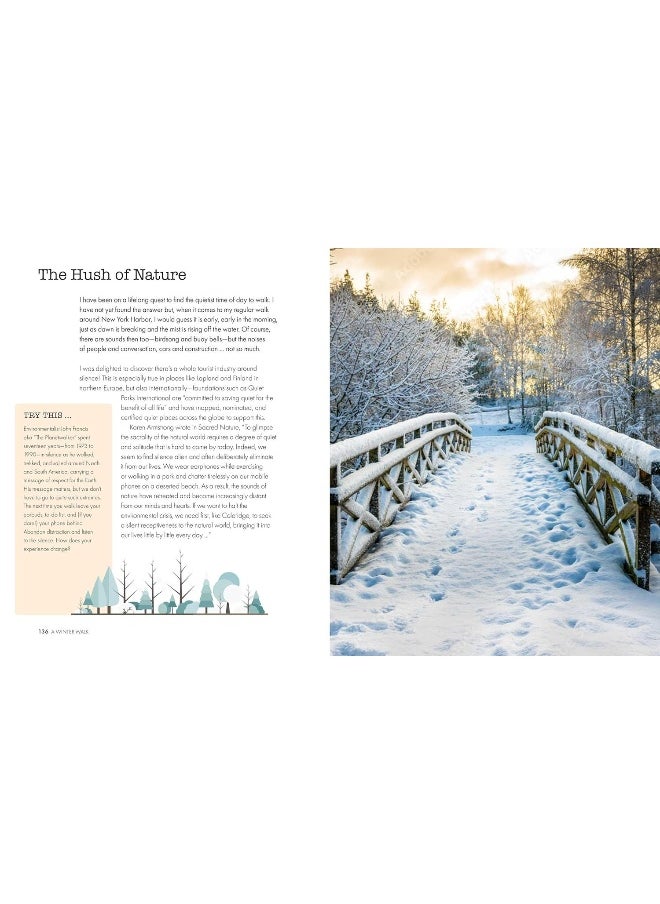 Walking with the Seasons: The Wonder of Being in Step with Nature  - Image 4