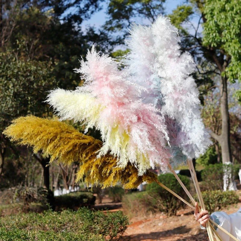 Bluejw E328 Large Fluffy Pampas Grass Decor - Natural Dried Pampas Floral Arrangements, Tall Dried Plants for Boho Home & Wedding Decor - Image 3