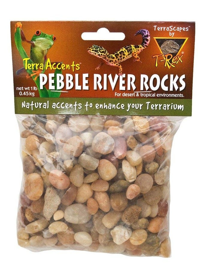 T-Rex Reptile Terrarium Décor -Terra Accents Pebble River Rocks - Image 1