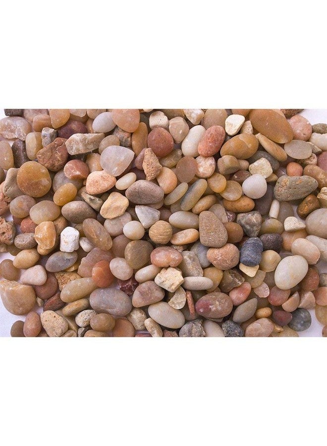 T-Rex Reptile Terrarium Décor -Terra Accents Pebble River Rocks - Image 2