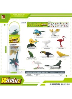 Mini Simulation Marine Fish Prehistoric Animals Ancient Marine Life Deep Sea Biological Storage Box Set Model Ornaments-Color:BL-1210B Mini Bird Set 159g