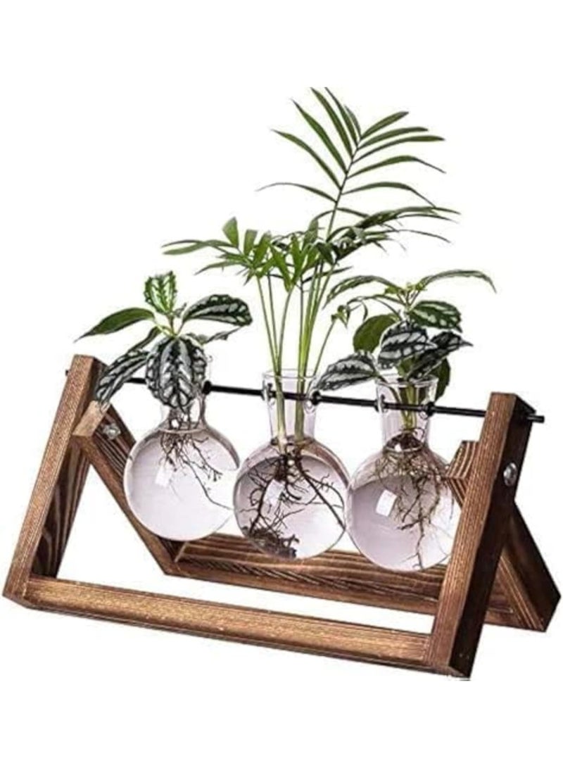 Barakah محطة تكاثر النباتات في حوض زجاجي، 3 مزهريات زجاجية مع قاعدة خشبية عتيقة، مزرعة مكتبية بوهيمية للزراعة المائية، ديكور داخلي للمكتب المنزلي، هدايا فريدة للنساء وعشاق النباتات (خشب طبيعي) - Image 1