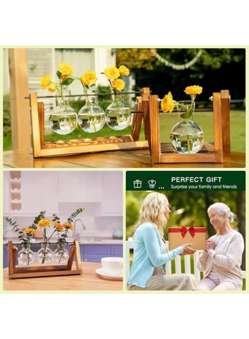 Barakah محطة تكاثر النباتات في حوض زجاجي، 3 مزهريات زجاجية مع قاعدة خشبية عتيقة، مزرعة مكتبية بوهيمية للزراعة المائية، ديكور داخلي للمكتب المنزلي، هدايا فريدة للنساء وعشاق النباتات (خشب طبيعي) - Image 2