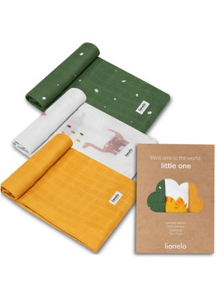 Swaddle Bamboo Box Multicolor Dino - pzsku/ZD53734DEEFA0B04F41B2Z/45/_/1709632713/5b2e9a55-8c26-454e-8859-f550f4b39d82