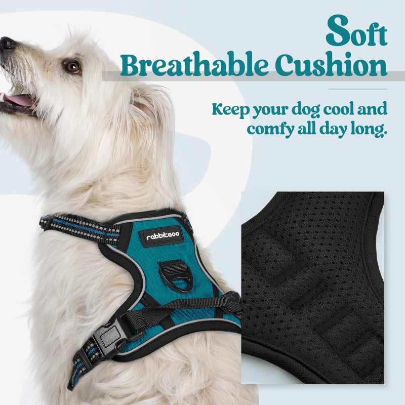 rabbitgoo Dog Harness No Pull with 2 Leash Clips, Adjustable Soft Padded, Reflective Oxford No Choke Pet Vest with Easy Control Handle for Puppy, Blue Coral, XS - Image 2
