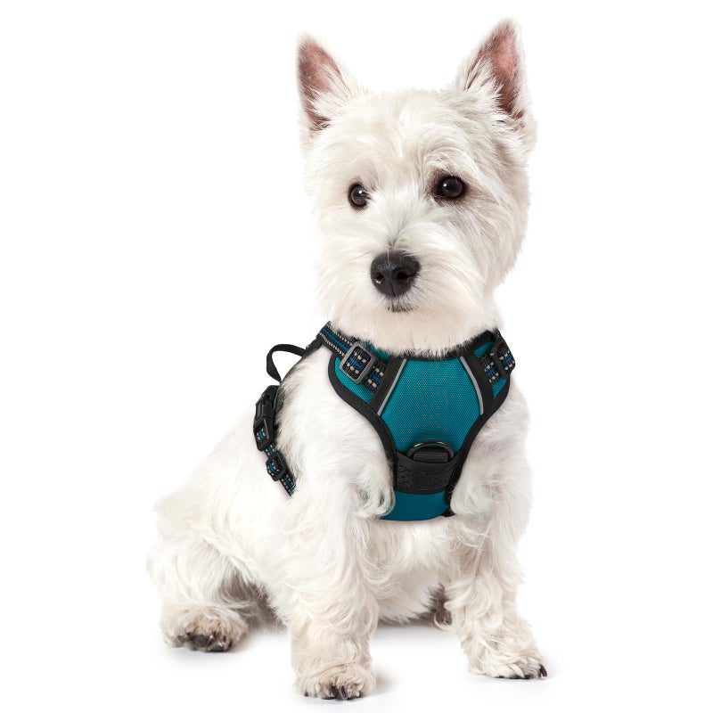 rabbitgoo Dog Harness No Pull with 2 Leash Clips, Adjustable Soft Padded, Reflective Oxford No Choke Pet Vest with Easy Control Handle for Puppy, Blue Coral, XS - Image 1