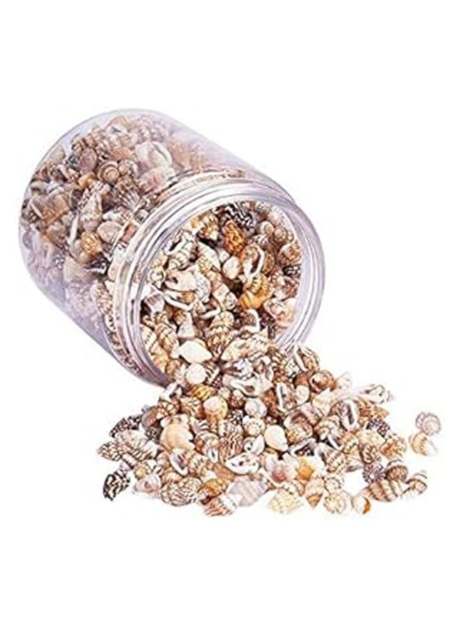 Bead Tiny Ocean Spiral Seashells Craft Charms (1500) - 1300-1500 Pieces  - Image 1