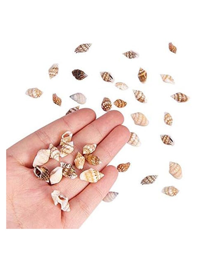 Bead Tiny Ocean Spiral Seashells Craft Charms (1500) - 1300-1500 Pieces  - Image 3