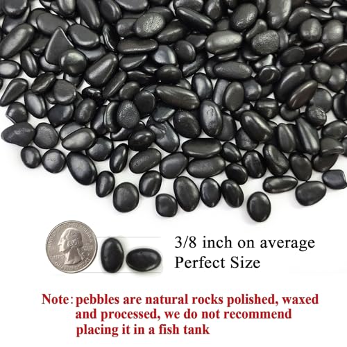 FANTIAN Black Pebbles for Indoor Plants, 3/8 inch Small Bag Stones, Decorative River Rocks for Succulent Potted Plant, Vase and Outdoor Landscaping Garden(16 oz) - Image 2