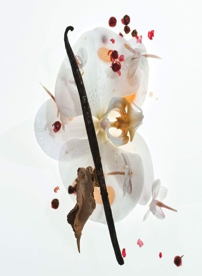 PHLUR Vanilla Skin Eau de Parfum Travel Spray 9.5 mL – Warm, Cozy Vanilla Skin Scent - Image 3