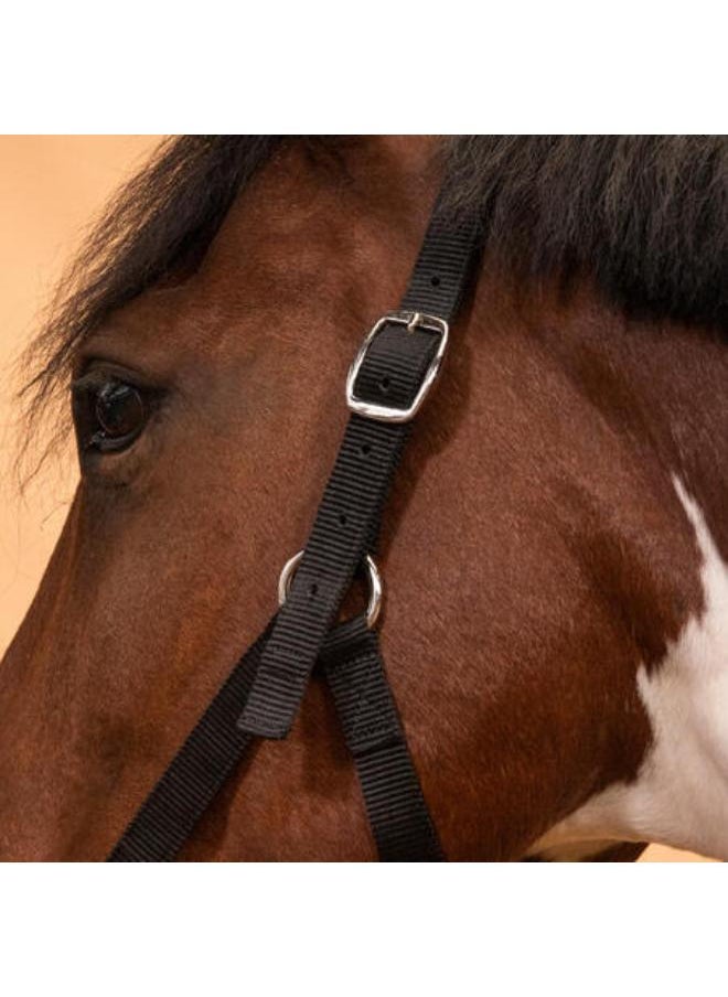 FOUGANZA Horse Riding Halter for Horse and Pony Schooling - Black  - Image 2
