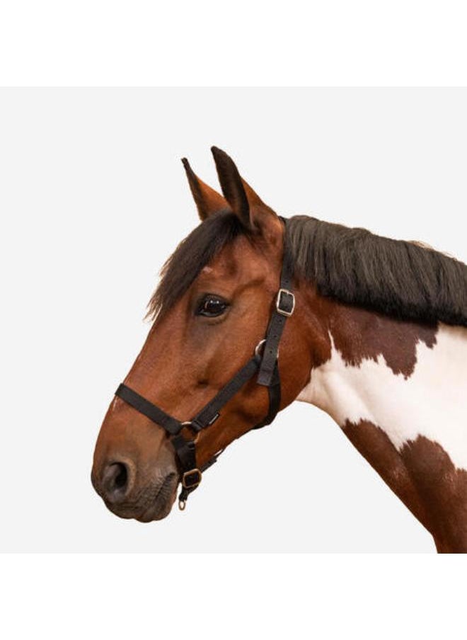 FOUGANZA Horse Riding Halter for Horse and Pony Schooling - Black  - Image 1