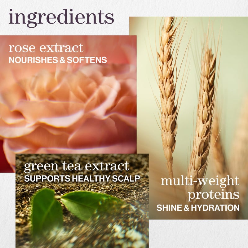 Pureology Hydrate Shampoo - For Dry or Color Treated Hair, Moisturizing Shampoo For Hydration & Softness, With Rose Extract & Green Tea, Vegan & Sulfate-Free, 9 Fl Oz - Image 5