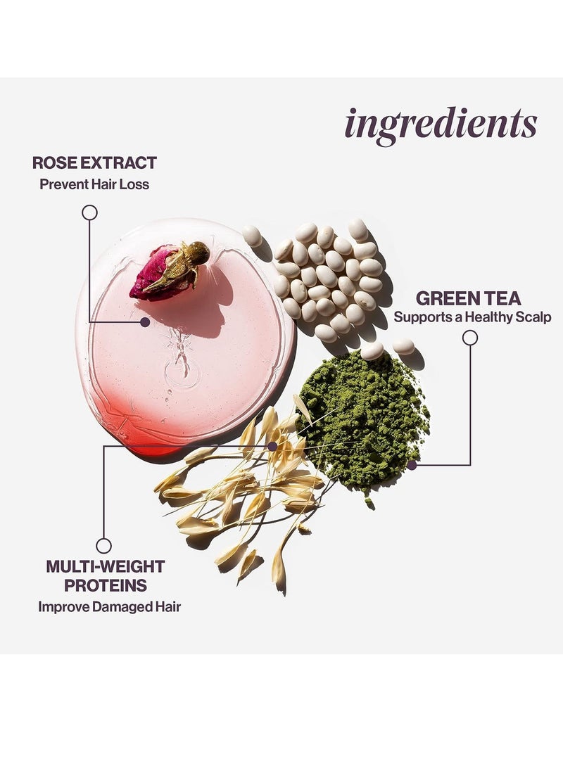PUREOLOGY شامبو مرطب Pureology Hydrate | ينعم ويرطب الشعر الجاف بعمق | للشعر المصبوغ المتوسط إلى الكثيف | خالٍ من الكبريتات | نباتي  - Image 5