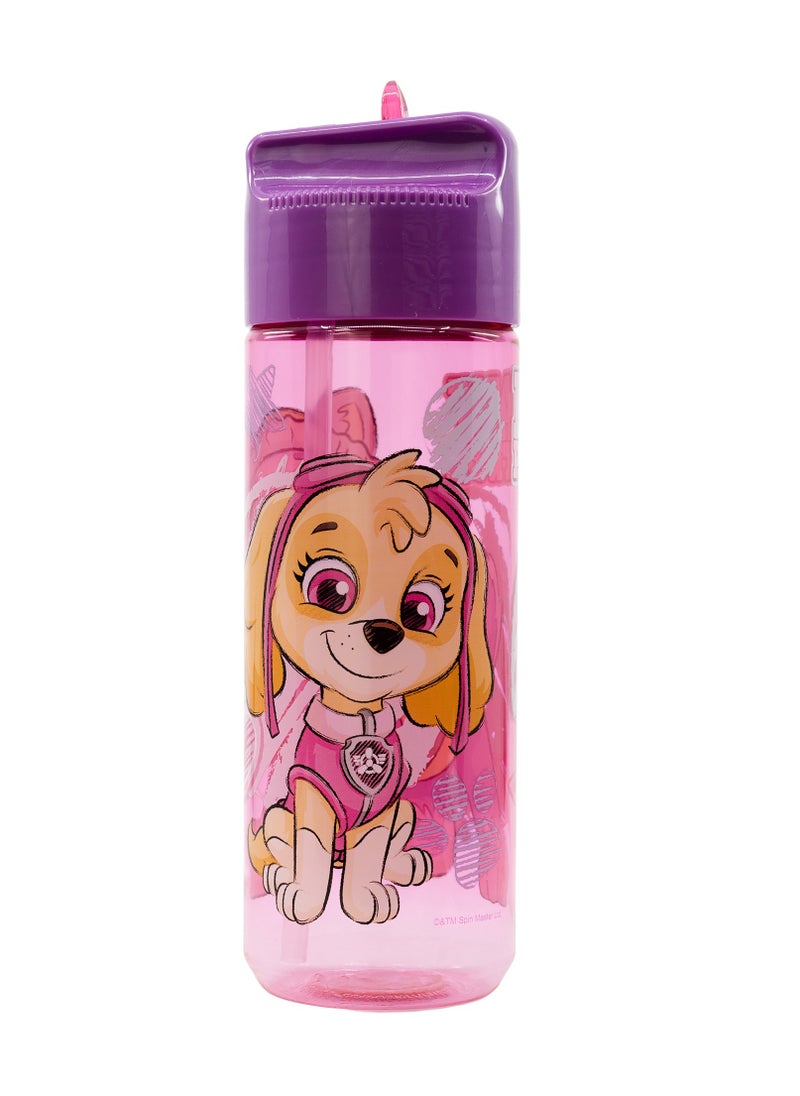 STOR STOR LARGE ECOZEN HYDRO BOTTLE 540 ML PAW PATROL GIRL SKETCH ESSENCE  - Image 1