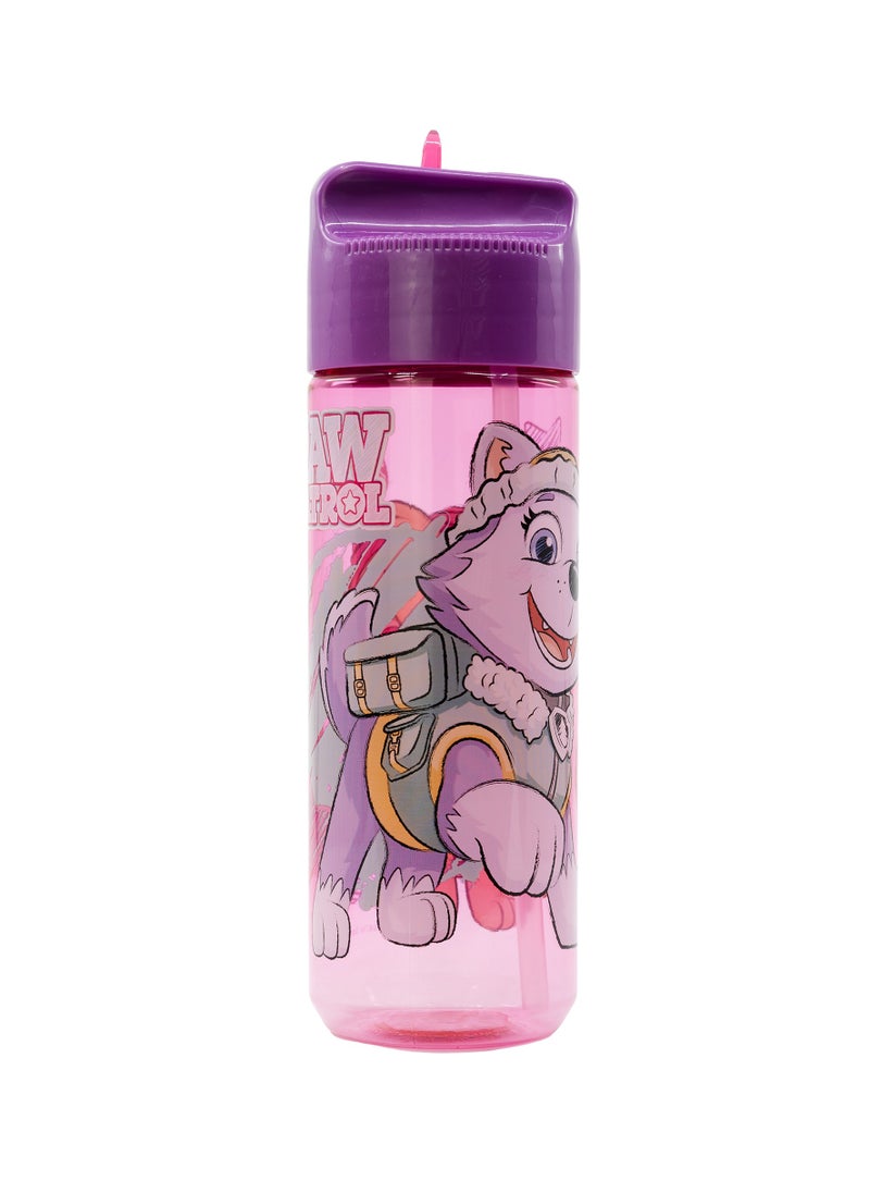STOR STOR LARGE ECOZEN HYDRO BOTTLE 540 ML PAW PATROL GIRL SKETCH ESSENCE  - Image 2