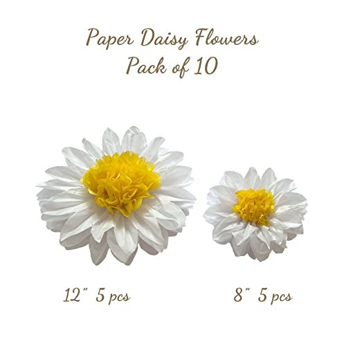 ANSOMO Daisy Tissue Paper Pom Poms Party Decorations White Yellow Flowers Wall Hanging 1st Birthday Bridal Baby Shower Wedding Classroom Décor 12" 8" Pack of 10 - Image 2