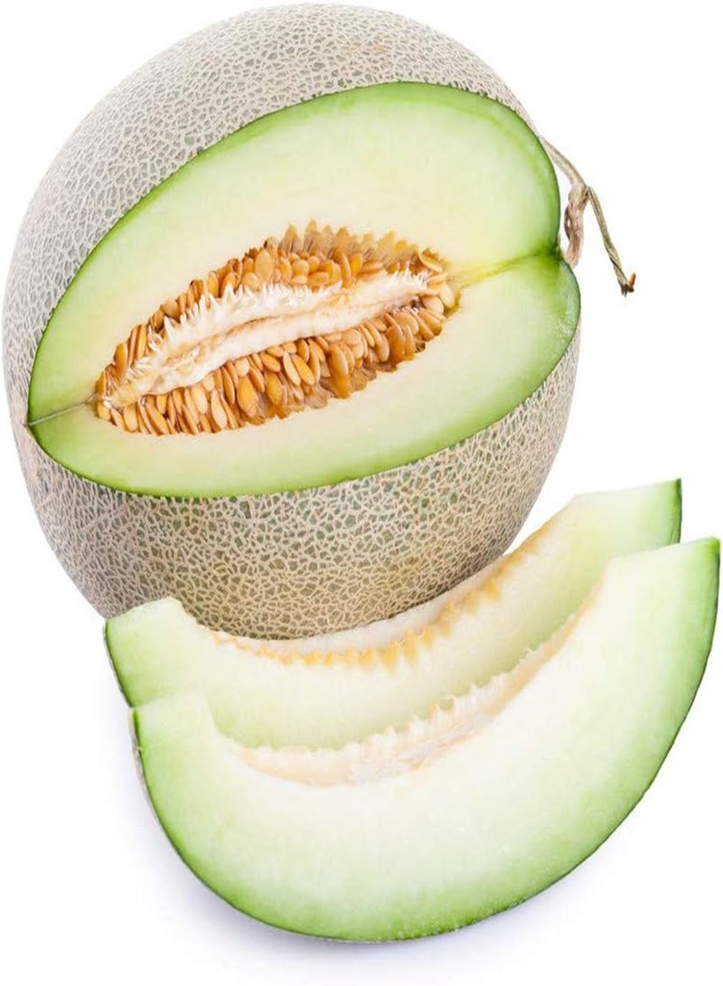 جي جوت 50 قطعة من بذور الشمام، صنف خاص، لب أبيض أخضر، كروم سنوية، أعشاب متسلقة، بذور فاكهة سريعة النمو، ديكورات فناء المنزل، مناظر طبيعية - Image 1