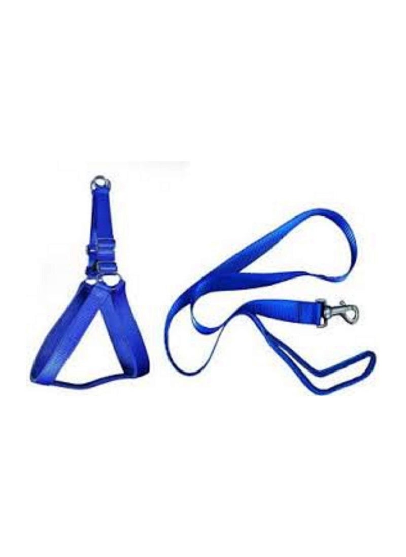 Generic blue dog leash harness 