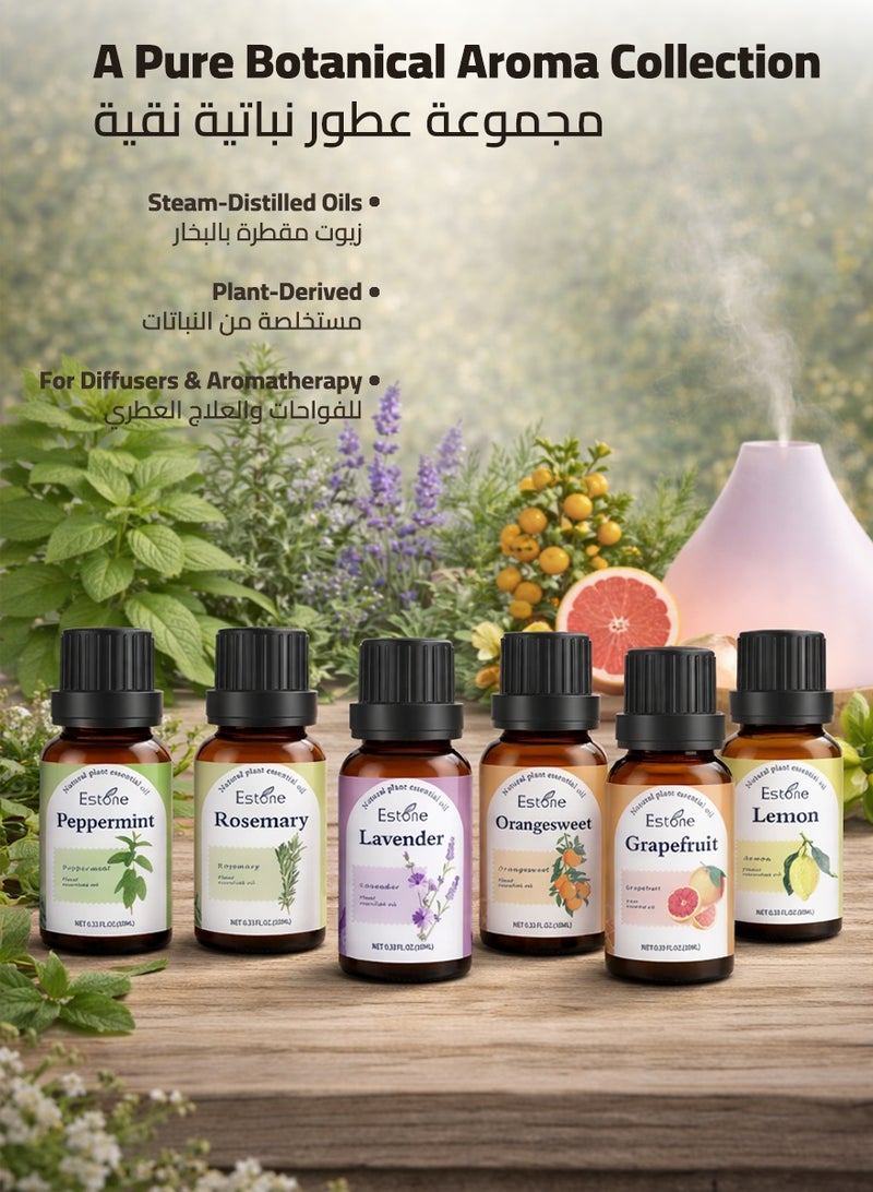 إستون طقم هدايا زيوت عطرية مُقطرة طبيعيًا 6 × 10 مل – نعناع فلفلي، إكليل الجبل، لافندر، برتقال حلو، جريب فروت وليمون لأجواء منعشة ومشرقة ومتوازنة - Image 2