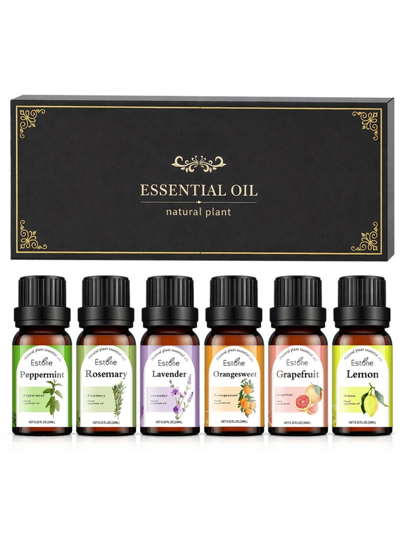 إستون طقم هدايا زيوت عطرية مُقطرة طبيعيًا 6 × 10 مل – نعناع فلفلي، إكليل الجبل، لافندر، برتقال حلو، جريب فروت وليمون لأجواء منعشة ومشرقة ومتوازنة - Image 1