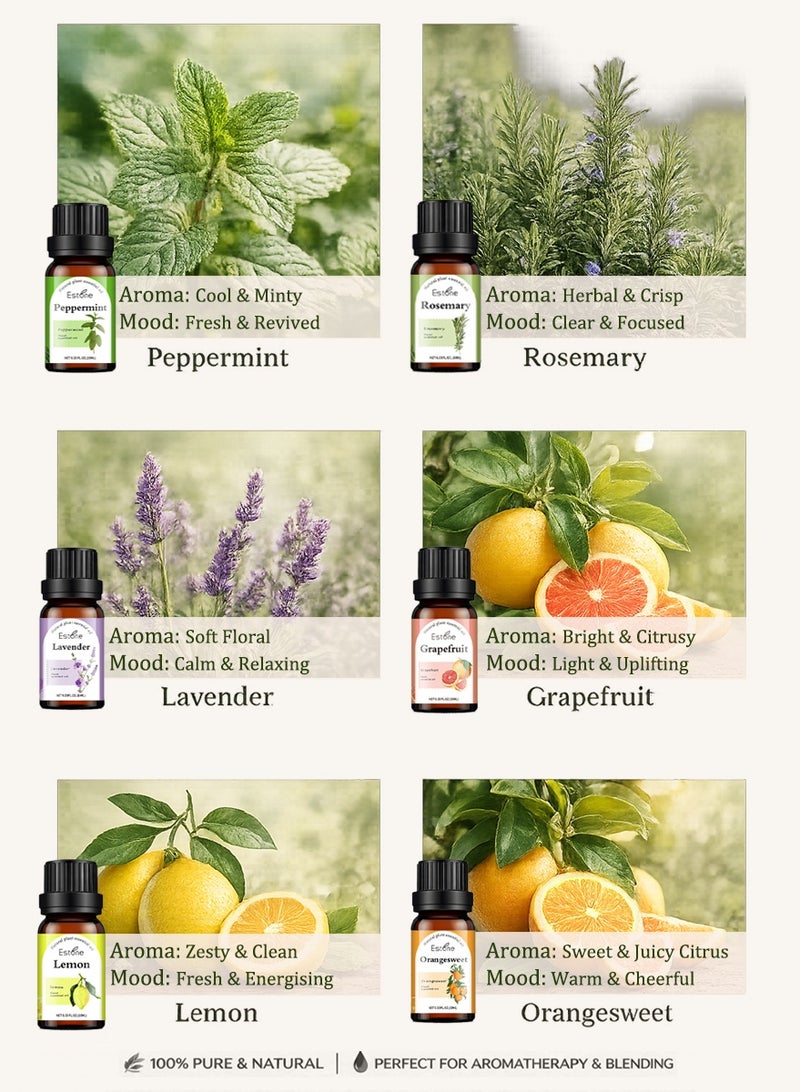 إستون طقم هدايا زيوت عطرية مُقطرة طبيعيًا 6 × 10 مل – نعناع فلفلي، إكليل الجبل، لافندر، برتقال حلو، جريب فروت وليمون لأجواء منعشة ومشرقة ومتوازنة - Image 3