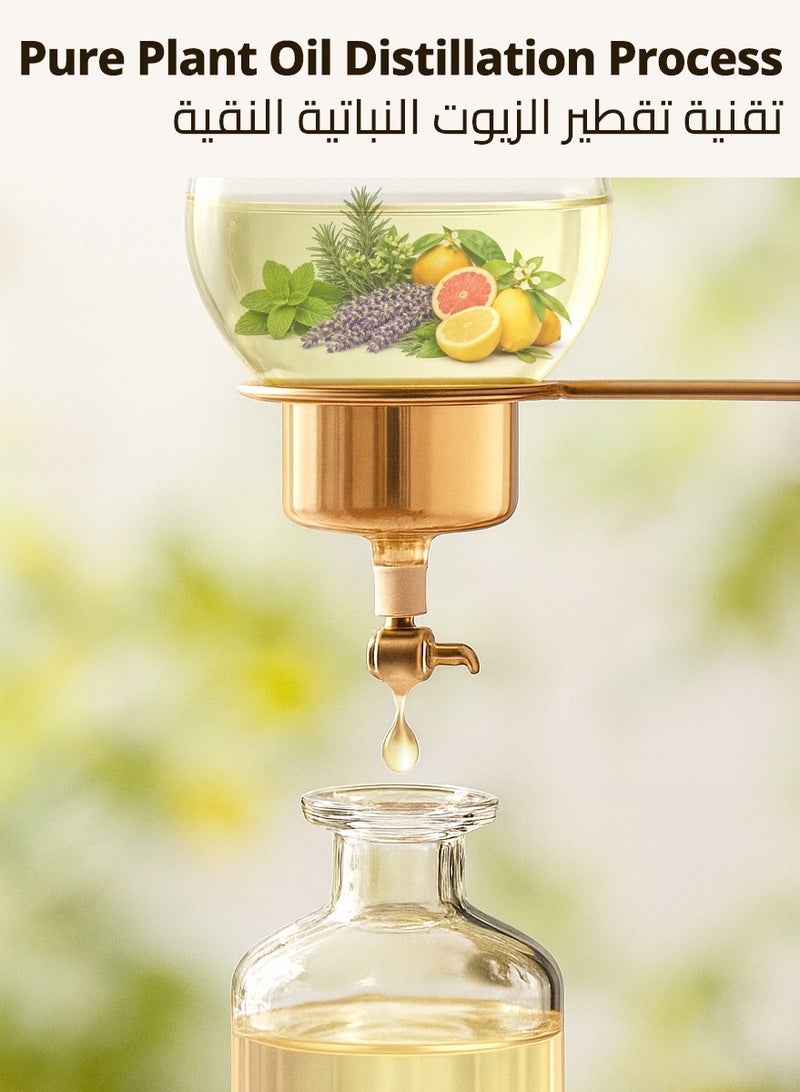 إستون طقم هدايا زيوت عطرية مُقطرة طبيعيًا 6 × 10 مل – نعناع فلفلي، إكليل الجبل، لافندر، برتقال حلو، جريب فروت وليمون لأجواء منعشة ومشرقة ومتوازنة - Image 4