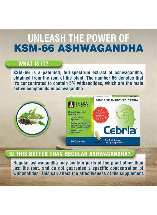 Cebria - Brain Supplement for Men, Women & Seniors – Nootropic Safe and Effective Memory Supplement for Retention, Recall & Age-Related Memory Loss (30 Count) - Image 1