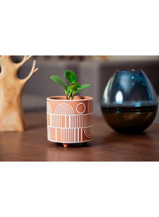 SGC Cement Pot Flower Pot Round Shape Color Orange Size 10.5 * 10.5 * 9.5 Cm. - Image 2