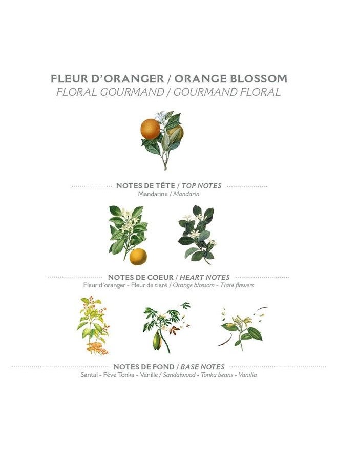 PANIER DES SENS - Orange Blossom Hand Cream For Dry Cracked Hands With Olive Oil Made In France 96% Natural Hand Moisturizer 2.6Floz/75Ml - Image 1