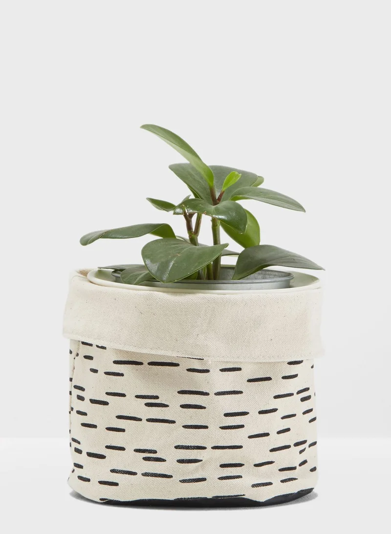 Good Design Works Cotton Plant Pot Cover