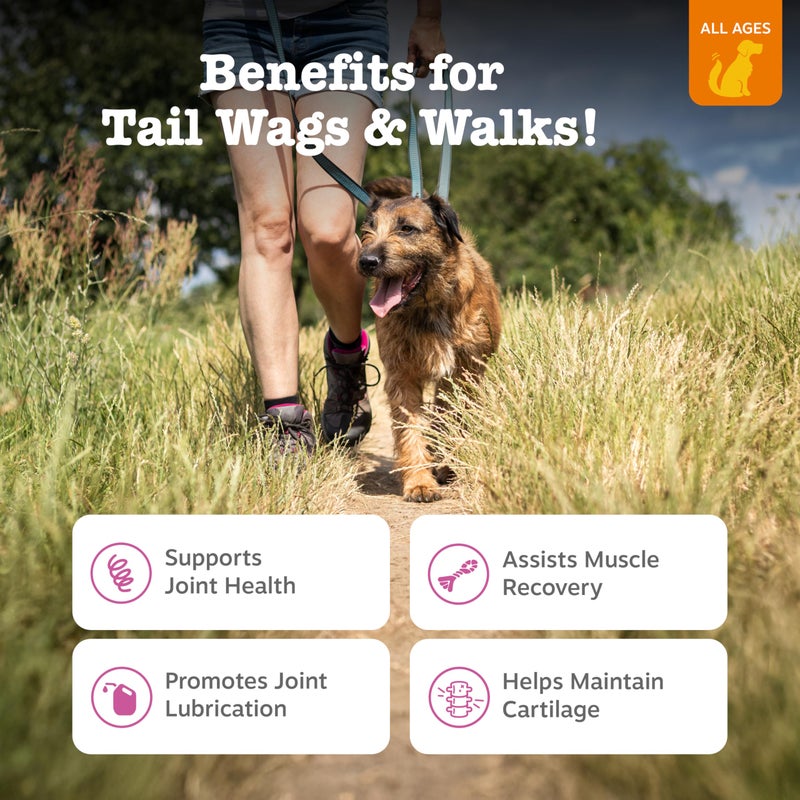 Zesty Paws Hip and Joint Supplement for Dogs - Glucosamine with Chondroitin, MSM, Vitamins C and E Dog Joint Relief - Mobility Bites Duck â€“ 90 Count - Image 2