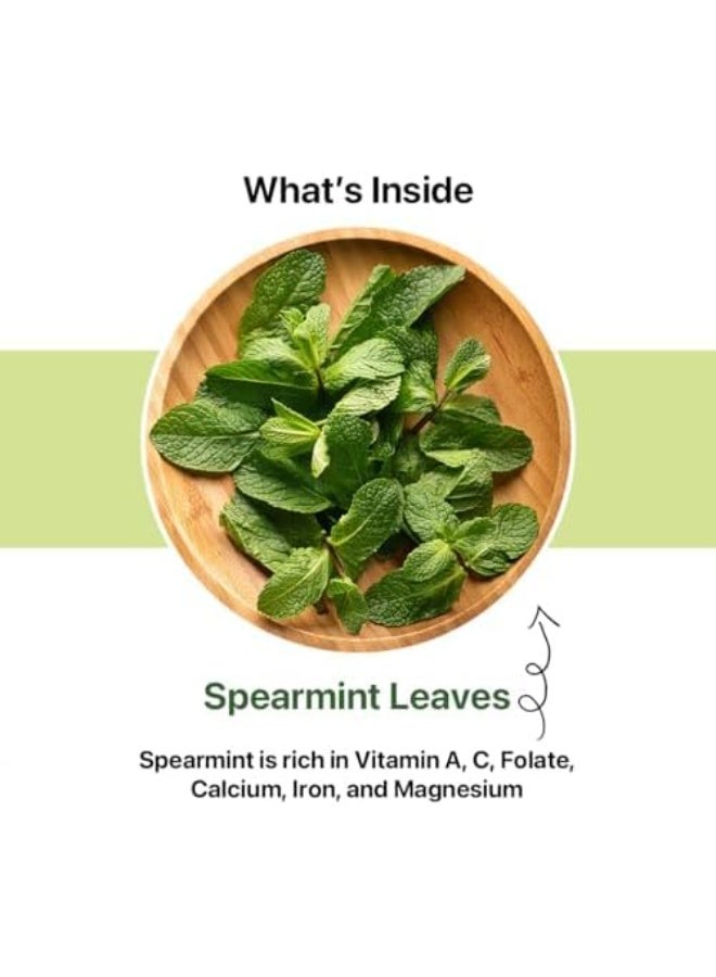 BLUE TEA - Spearmint Tea - 100 gm -100 Cups | Pcos Relief | Balances Hormones, Reduces Facial Hair & Acne and Supports Digestion | Herbal Tea - Dried Loose Leaf - Caffeine Free | Reusable Pet Jar - Image 2