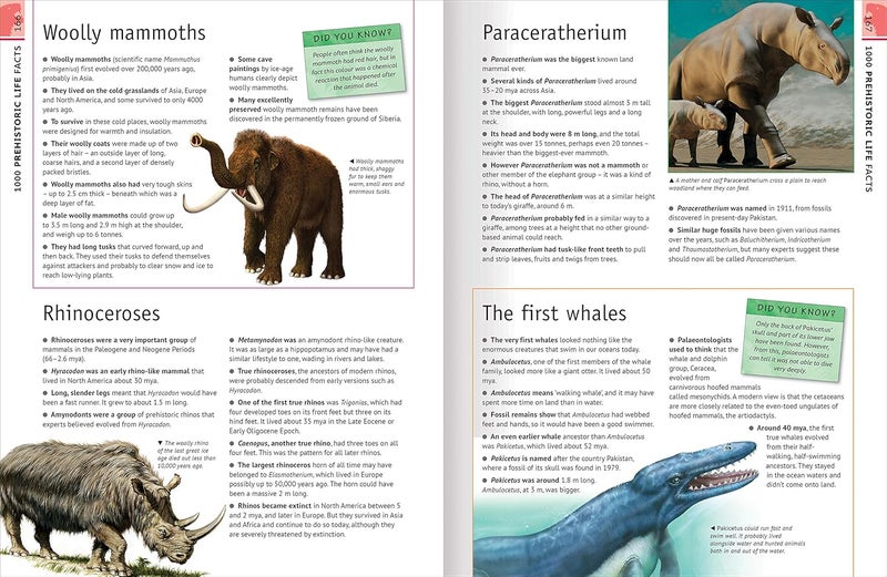 6000 Awesome Facts  - Image 3