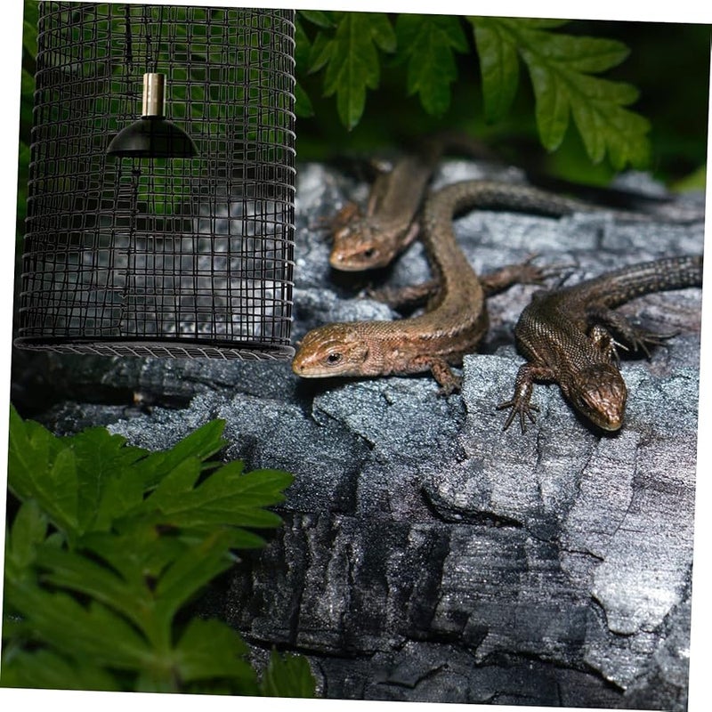 TEHAUX غطاء واقي دائري لمصباح الزواحف الحراري سهل التركيب مع المسامير يمنع الحروق - Image 4