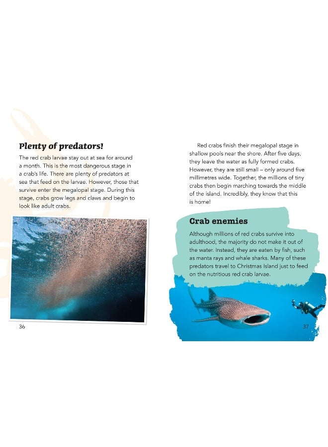 Year 3 Book 9 NF 2: Year 3 - Image 4