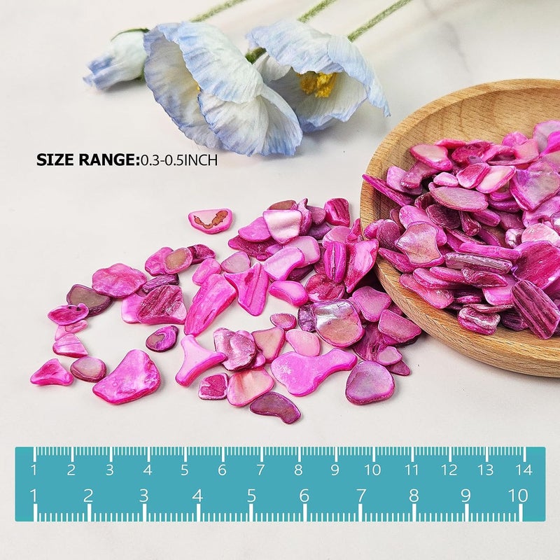 EDSRDUS Natural Crushed Shells Chips Irregular Mother of Pearl Seashell Fragments Sea Shell Pieces for DIY Crafts, Vase Filler, Decorating, Home Décor - Image 2