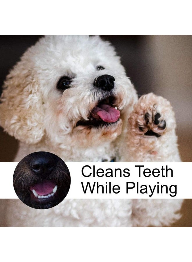 PET 6” Rawhide Pressed Bone With 7” Plastic Chew Bone Dog Toy For Medium Chewers - Image 4